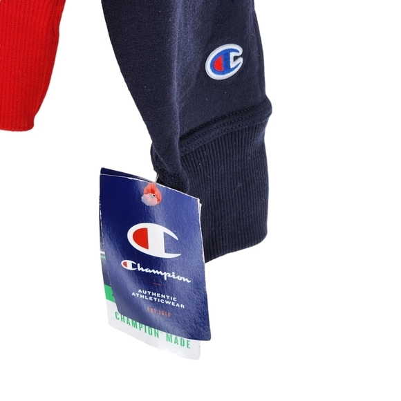 Champion Men's Powerblend Colorblocked Hoodie - S - Picture 5 of 7